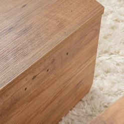 Drawer ASYA Lot de 2 tables basses en bois