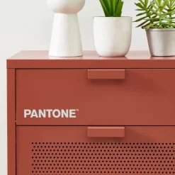 Pantone NINO Meuble à chaussures 2 portes 1 tiroir en métal L55cm