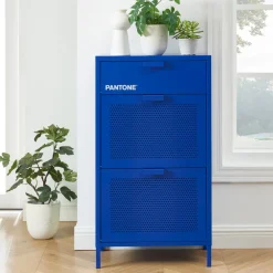 Pantone NINO Meuble à chaussures 2 portes 1 tiroir en métal L55cm