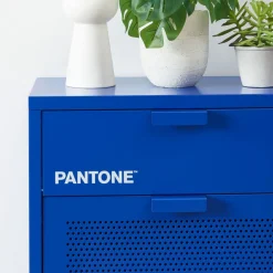 Pantone NINO Meuble à chaussures 2 portes 1 tiroir en métal L55cm