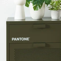 Pantone NINO Meuble à chaussures 2 portes 1 tiroir en métal L55cm