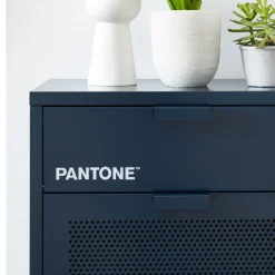 Pantone NINO Meuble à chaussures 2 portes 1 tiroir en métal L55cm