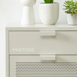 Pantone NINO Meuble à chaussures 2 portes 1 tiroir en métal L55cm