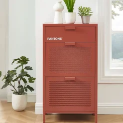 Pantone NINO Meuble à chaussures 2 portes 1 tiroir en métal L55cm