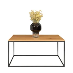 House Nordic VITA Table basse en métal et bois
