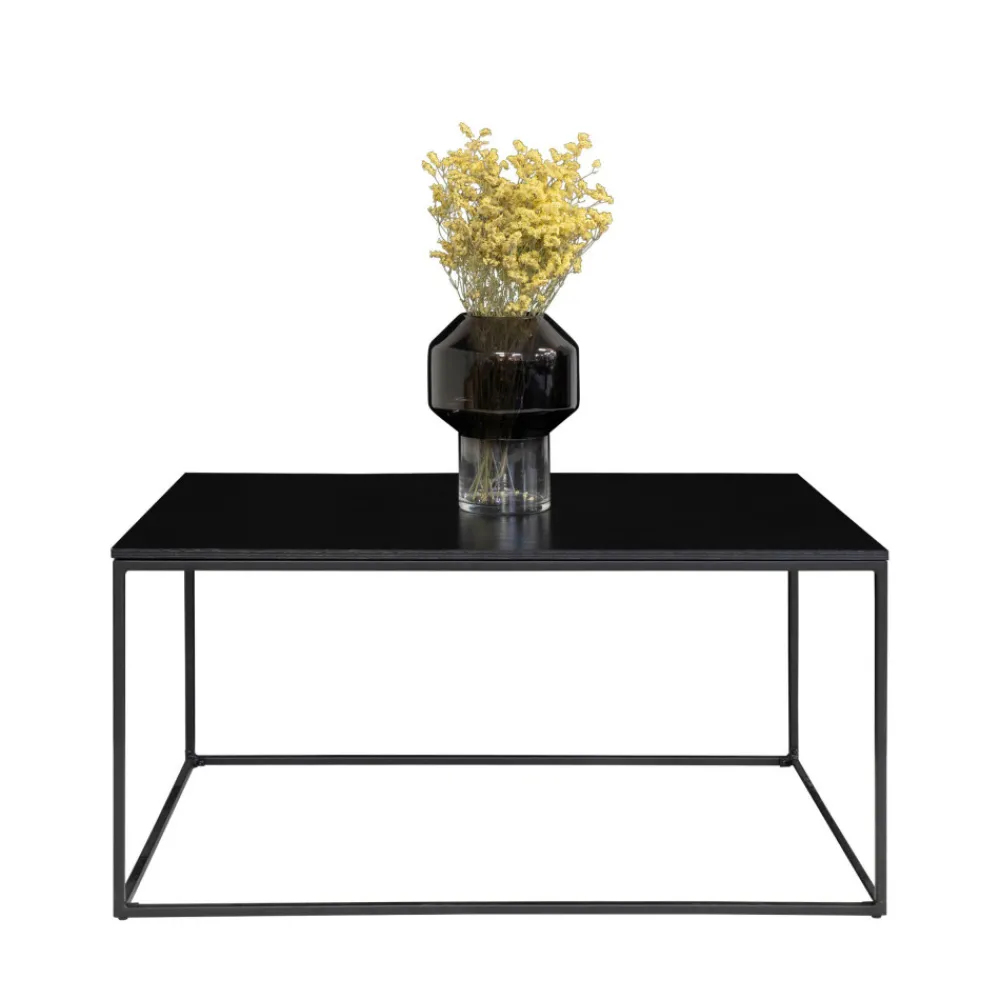 House Nordic VITA Table basse en métal et bois